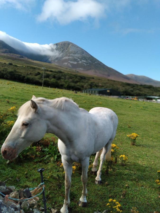 Elmgrove Apartment , Croagh Patrick Уестпорт Екстериор снимка